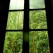 Fenêtre Nature / MPR