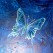 Détails Papillon BLEU / MPR